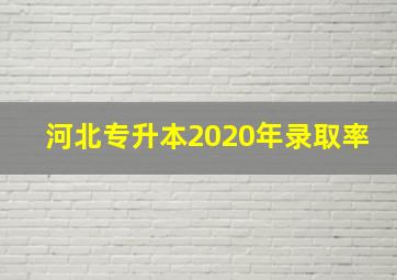 河北专升本2020年录取率