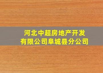 河北中超房地产开发有限公司阜城县分公司