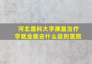 河北医科大学康复治疗学就业能去什么级别医院