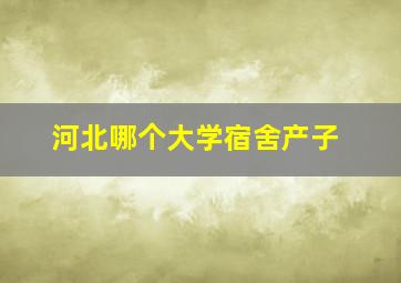 河北哪个大学宿舍产子