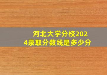 河北大学分校2024录取分数线是多少分