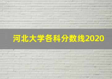 河北大学各科分数线2020