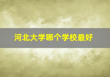 河北大学哪个学校最好