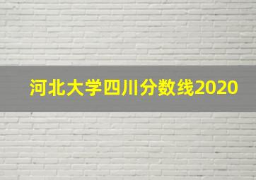 河北大学四川分数线2020