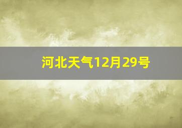 河北天气12月29号