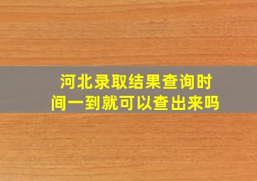 河北录取结果查询时间一到就可以查出来吗