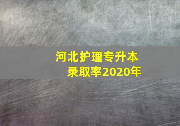 河北护理专升本录取率2020年