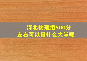 河北物理组500分左右可以报什么大学呢