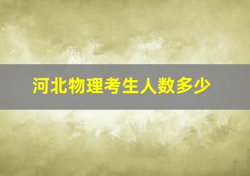 河北物理考生人数多少