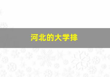 河北的大学排