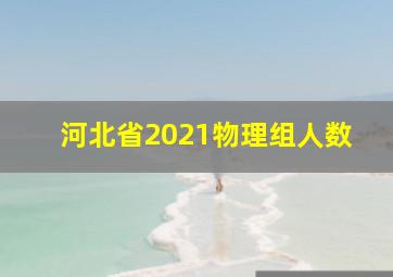 河北省2021物理组人数