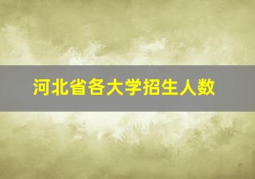 河北省各大学招生人数