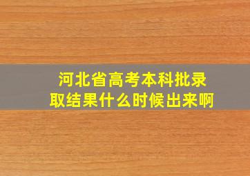 河北省高考本科批录取结果什么时候出来啊