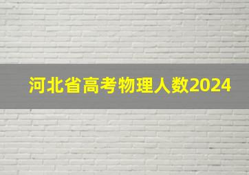 河北省高考物理人数2024