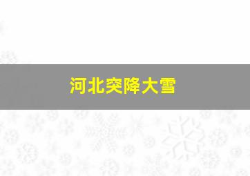 河北突降大雪