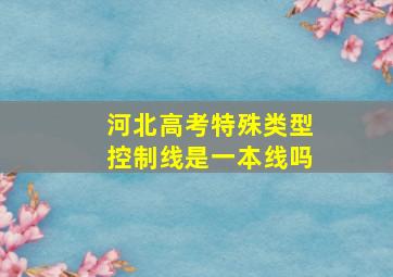 河北高考特殊类型控制线是一本线吗