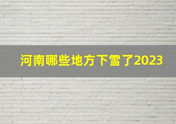 河南哪些地方下雪了2023