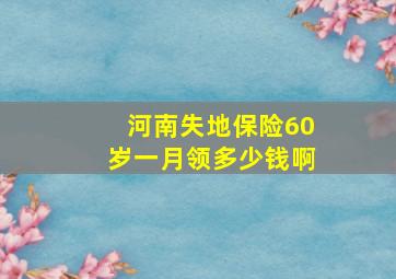 河南失地保险60岁一月领多少钱啊