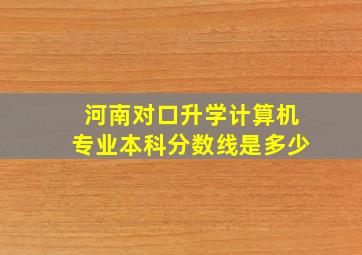 河南对口升学计算机专业本科分数线是多少