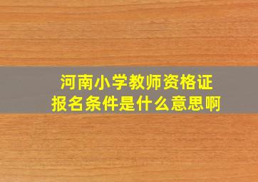 河南小学教师资格证报名条件是什么意思啊