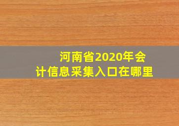 河南省2020年会计信息采集入口在哪里