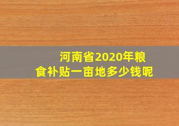 河南省2020年粮食补贴一亩地多少钱呢