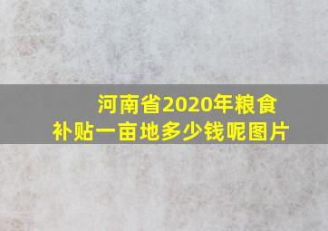 河南省2020年粮食补贴一亩地多少钱呢图片