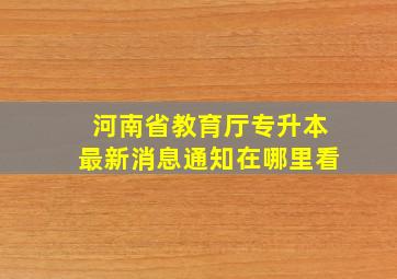 河南省教育厅专升本最新消息通知在哪里看