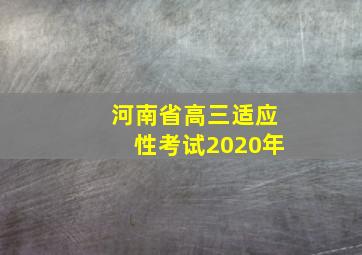 河南省高三适应性考试2020年