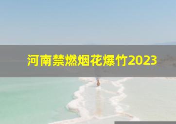 河南禁燃烟花爆竹2023