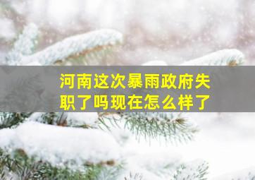 河南这次暴雨政府失职了吗现在怎么样了