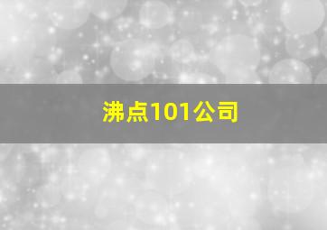 沸点101公司