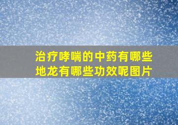 治疗哮喘的中药有哪些地龙有哪些功效呢图片