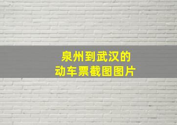 泉州到武汉的动车票截图图片