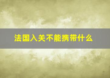 法国入关不能携带什么