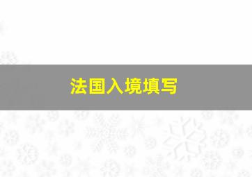 法国入境填写