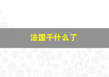 法国干什么了