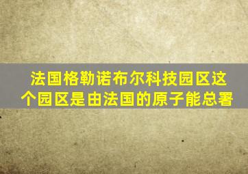 法国格勒诺布尔科技园区这个园区是由法国的原子能总署