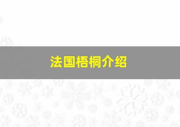 法国梧桐介绍