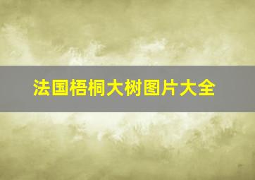 法国梧桐大树图片大全