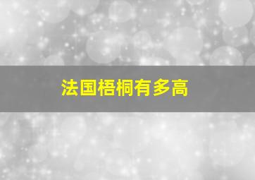 法国梧桐有多高