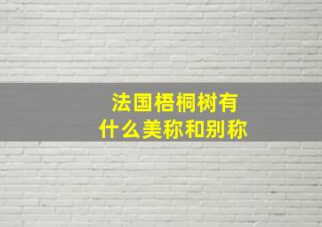 法国梧桐树有什么美称和别称