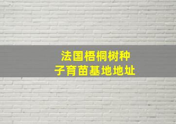 法国梧桐树种子育苗基地地址