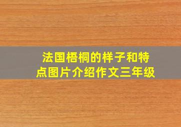 法国梧桐的样子和特点图片介绍作文三年级