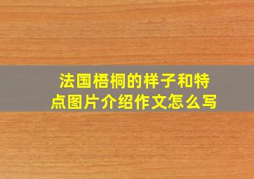 法国梧桐的样子和特点图片介绍作文怎么写