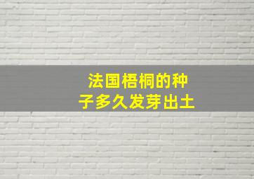 法国梧桐的种子多久发芽出土