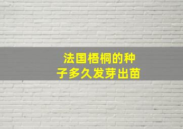 法国梧桐的种子多久发芽出苗