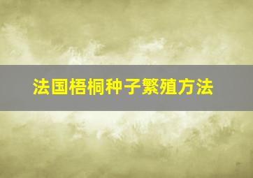 法国梧桐种子繁殖方法