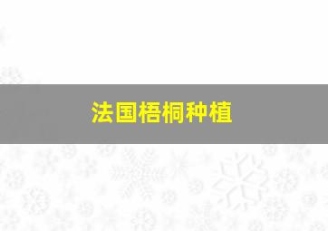 法国梧桐种植