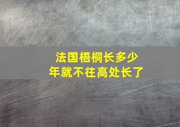 法国梧桐长多少年就不往高处长了